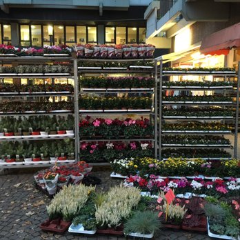 Wochenmarkt Rodenkirchen - Farmers Market Near Me - Cologne, NW