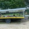 Cole’s Farm and Greenhouses gift card