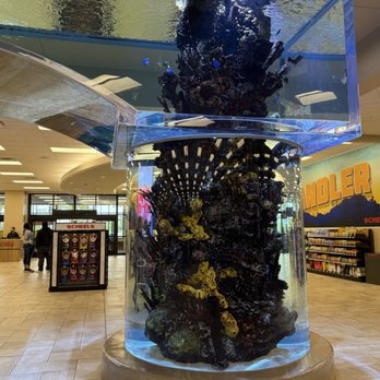 Scheels - Golf Equipment Near Me - Chandler, Arizona