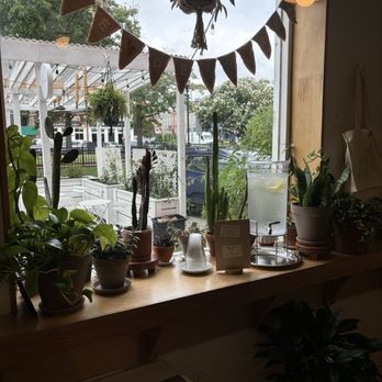 Café Dear Leon - Front window! - Cafes Near Me - Baltimore, Maryland