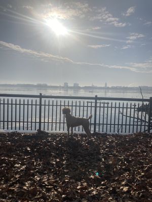 Penn Treaty Park by null