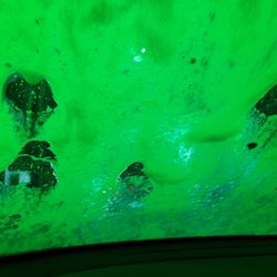 The Car Wash Guys
