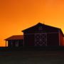 Photo of Munchkey Apple Orchard