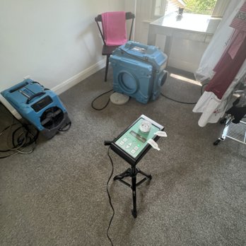 Texas License Professional - Air quality testing - Environmental Testing Near Me - Austin, Texas Texas License Professional - Air quality testing - Environmental Testing Near Me - Austin, Texas