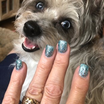 Nails Studio - Dog and nails - Nail Salons Near Me - Fayetteville, Arkansas