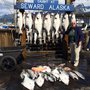 Photo of Fantasea Charters