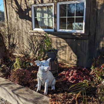 Nodine's Smokehouse - a dog statue in front of a house - Smokehouse Near Me - Goshen, Connecticut Nodine's Smokehouse - a dog statue in front of a house - Smokehouse Near Me - Goshen, Connecticut