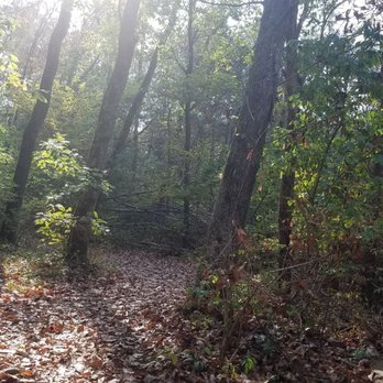The Trails - Hiking Near Me - Nashville, Tennessee The Trails - Hiking Near Me - Nashville, Tennessee