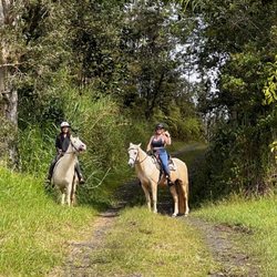 Ola Nani Ranch - Heading into the rainforest.