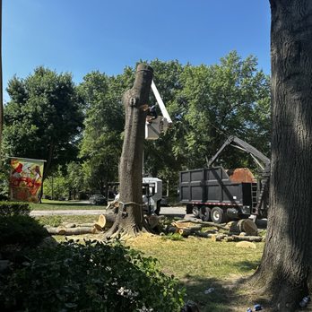 Green Arbor Tree Service - Tree Services Near Me - Kansas City, Kansas Green Arbor Tree Service - Tree Services Near Me - Kansas City, Kansas