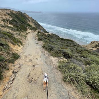 Black's Beach - Beaches Near Me - San Diego, California