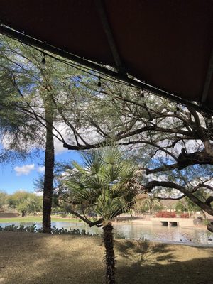 Bleachers Sports Grill by null