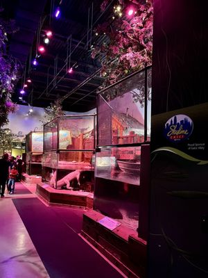 Newport Aquarium by null