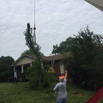 Pentecost Tree Service - Tree Services Near Me - Ashland City, Tennessee Pentecost Tree Service - Tree Services Near Me - Ashland City, Tennessee