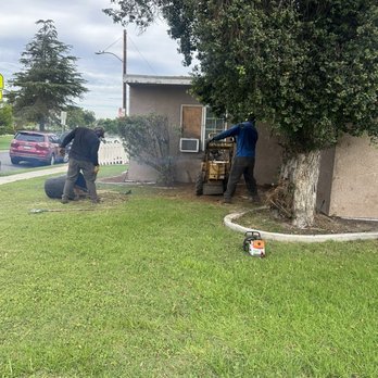 Affordable Tree Care - Hard workers !! - Tree Services Near Me Affordable Tree Care - Hard workers !! - Tree Services Near Me