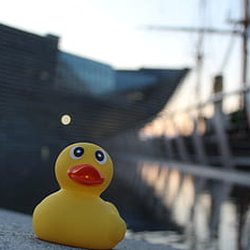 Broadway Pro Scooters - Rubber ducky