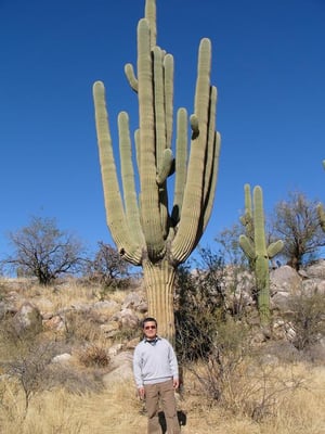 Catalina State Park by null
