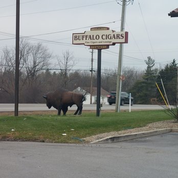 Buffalo Cigars - Tobacco Shops Near Me - Orchard Park, New York