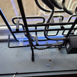 Corvette Grille and Bar - Dead insects on windowsill