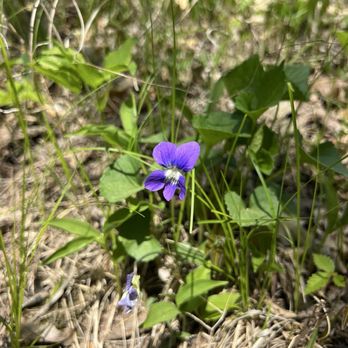 Quarry Hill Nature Center - Hiking Near Me - Rochester, Minnesota Quarry Hill Nature Center - Hiking Near Me - Rochester, Minnesota