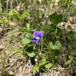 Quarry Hill Nature Center