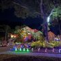 Photo of Tampa Palms Xmas Display