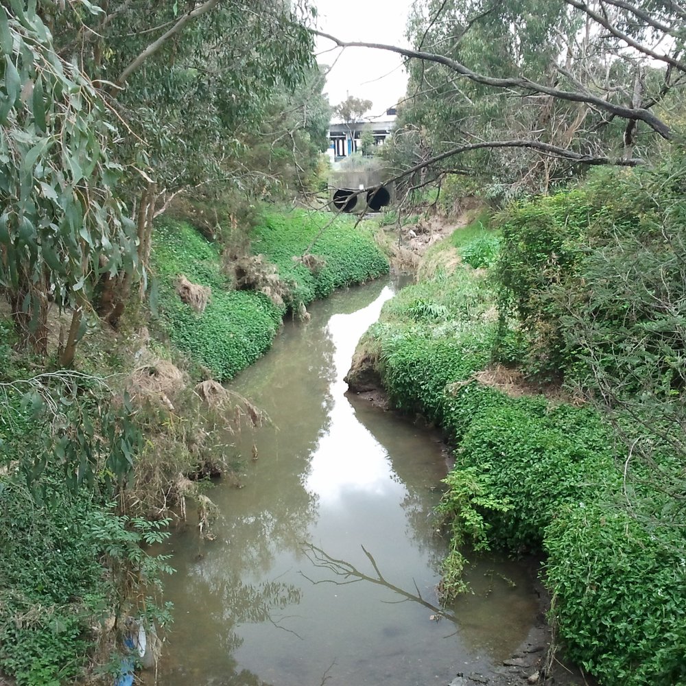 Collier Reserve - Parks Near Me - Wantirna South, VIC