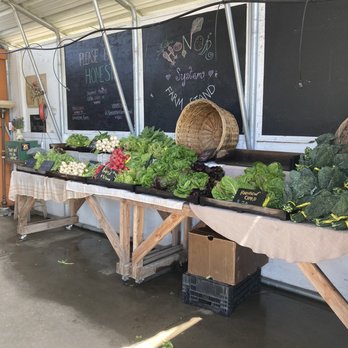 Suncatcher Farm - Farm fresh veggies! - Pick Your Own Farms Near Me - Petaluma, California Suncatcher Farm - Farm fresh veggies! - Pick Your Own Farms Near Me - Petaluma, California