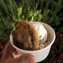 Cookie Butter Ice Cream