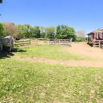 Juckas Riding Stables - Horseback Riding Near Me - Pine Bush, New York Juckas Riding Stables - Horseback Riding Near Me - Pine Bush, New York