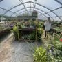 Photo of Granny’s Garden Center