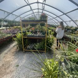 Granny’s Garden Center