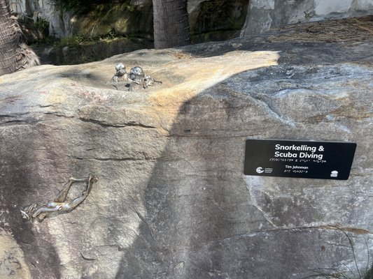 Shelly Beach by null