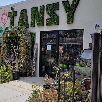 Tansy - Home Decor Near Me - Burbank, California