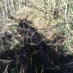 Baggeridge Country Park