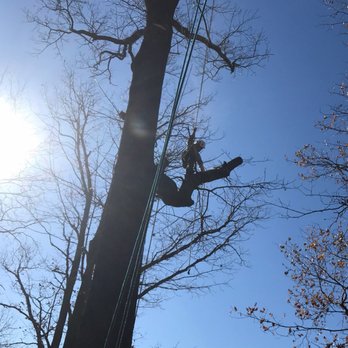 Tree Pro - Tree Services Near Me - Killen, Alabama