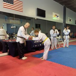 Level Up Taekwondo