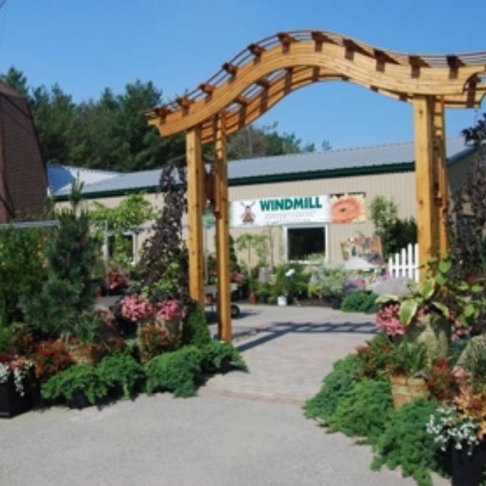 Flowers By June Orillia Ontario Best Flower Site