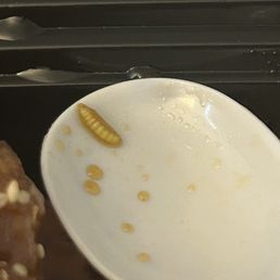 Maggot on spoon Maggot on spoon