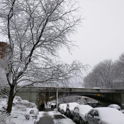 Windsor Terrace - Prospect Avenue