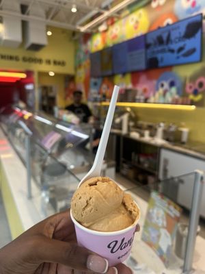 Van Leeuwen Ice Cream by null