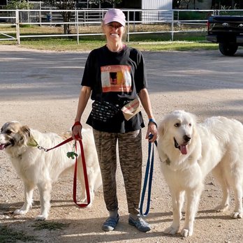 Heeling Hounds Dog Training - Walking our dogs Cagney and Lacey - Pet Training Near Me Heeling Hounds Dog Training - Walking our dogs Cagney and Lacey - Pet Training Near Me