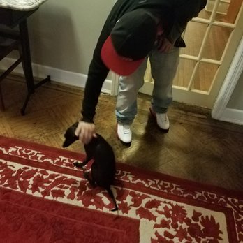 Chelsea Inn - How cute is that puppy! - Pubs Near Me - Atlantic City, New Jersey