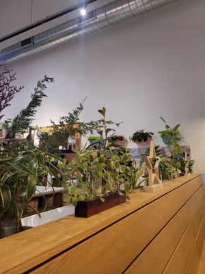 Pretty Decent by null