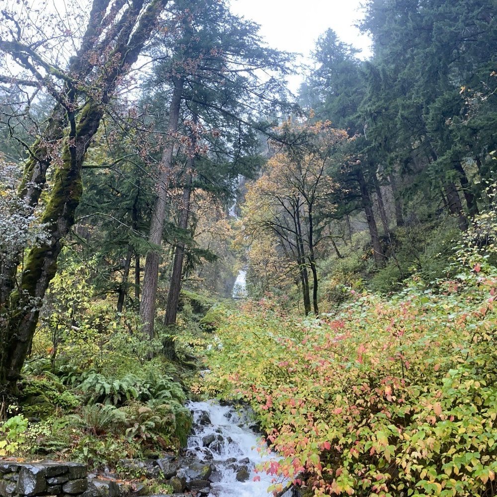Wahkeena Falls - Parks Near Me - Troutdale, Oregon Wahkeena Falls - Parks Near Me - Troutdale, Oregon