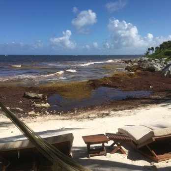 Hotel Diamante K - Seaweed choked bay - Hotels Near Me - Tulum, ROO Hotel Diamante K - Seaweed choked bay - Hotels Near Me - Tulum, ROO