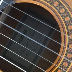 Guitar