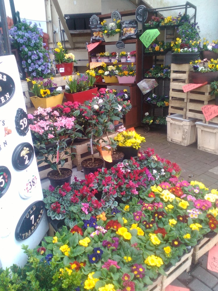 MICHAEL’S GARDEN CENTRE Updated September 2024 New Street, Malahide