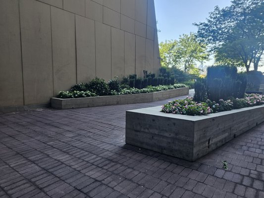 Elevated Acre by null