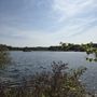 Photo of Groveland Oaks County Park
